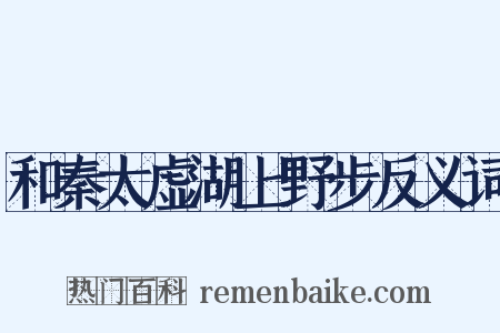 和秦太虚湖上野步反义词是什么意思的图片